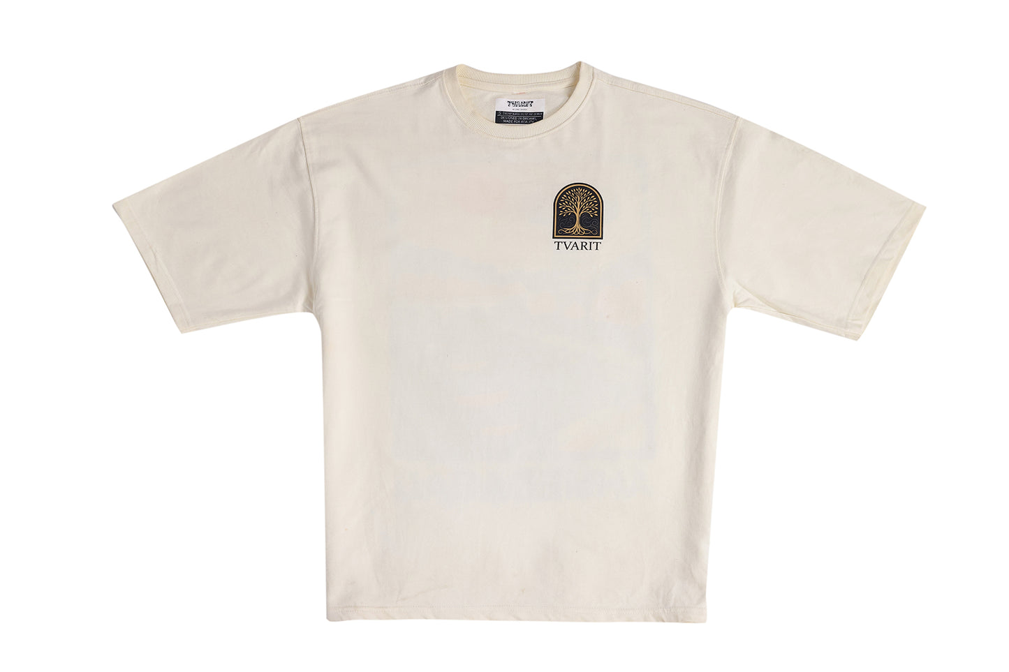 Ahmedabad heritage hues