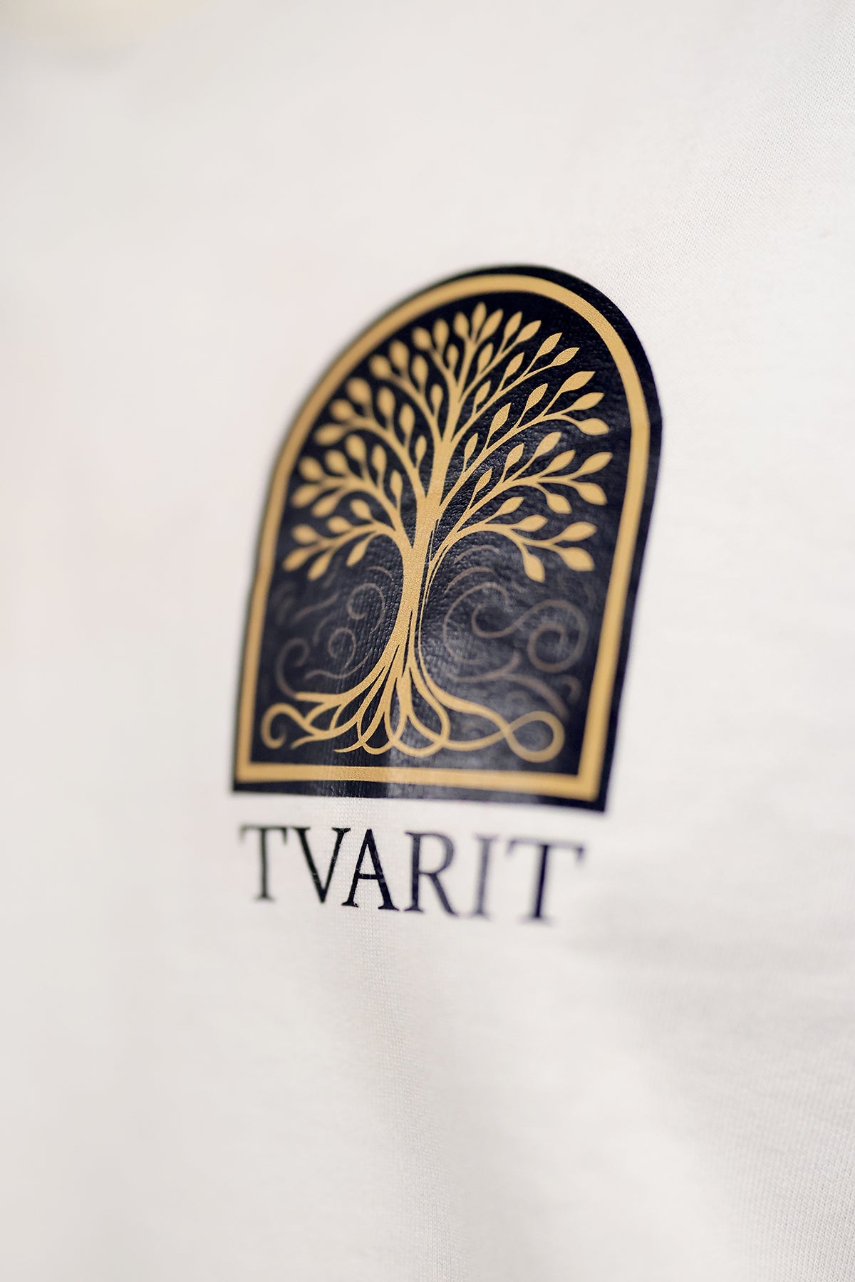 Ahmedabad heritage hues